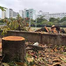 Jardim de Alah- a vitória da destruição